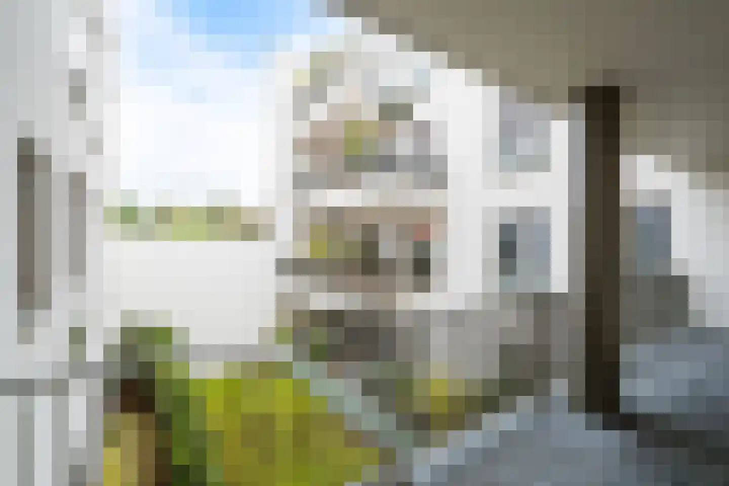 Catharinastraat 99 C5 Breda thumbnail 10