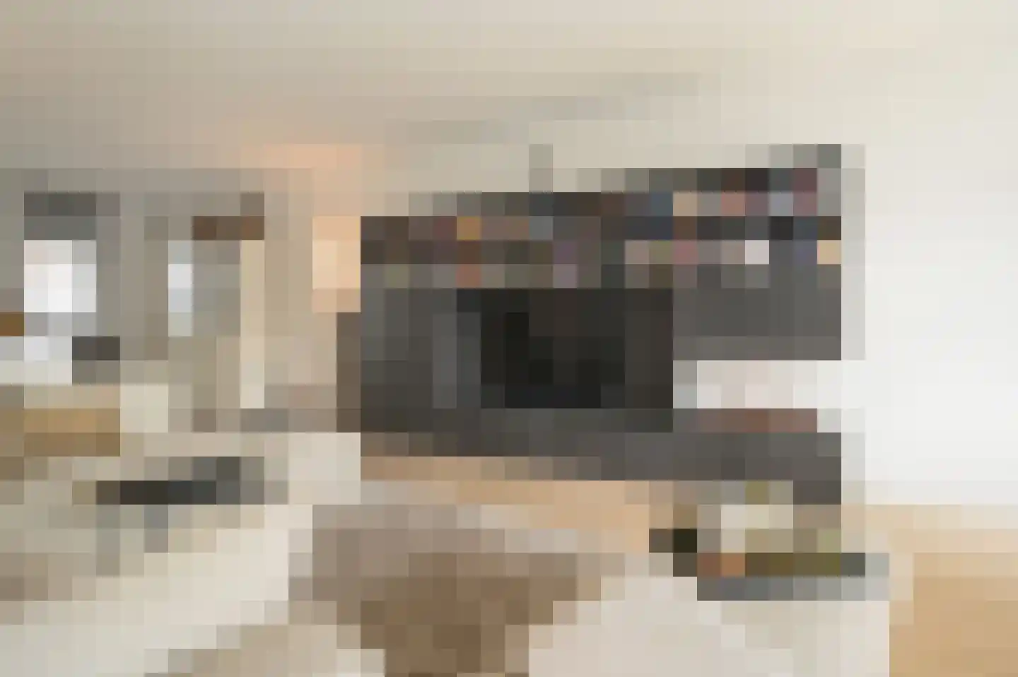Catharinastraat 99 C5 Breda thumbnail 17