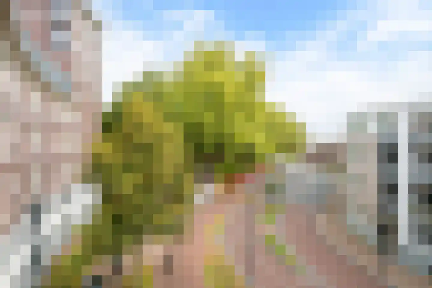 Catharinastraat 99 C5 Breda thumbnail 5