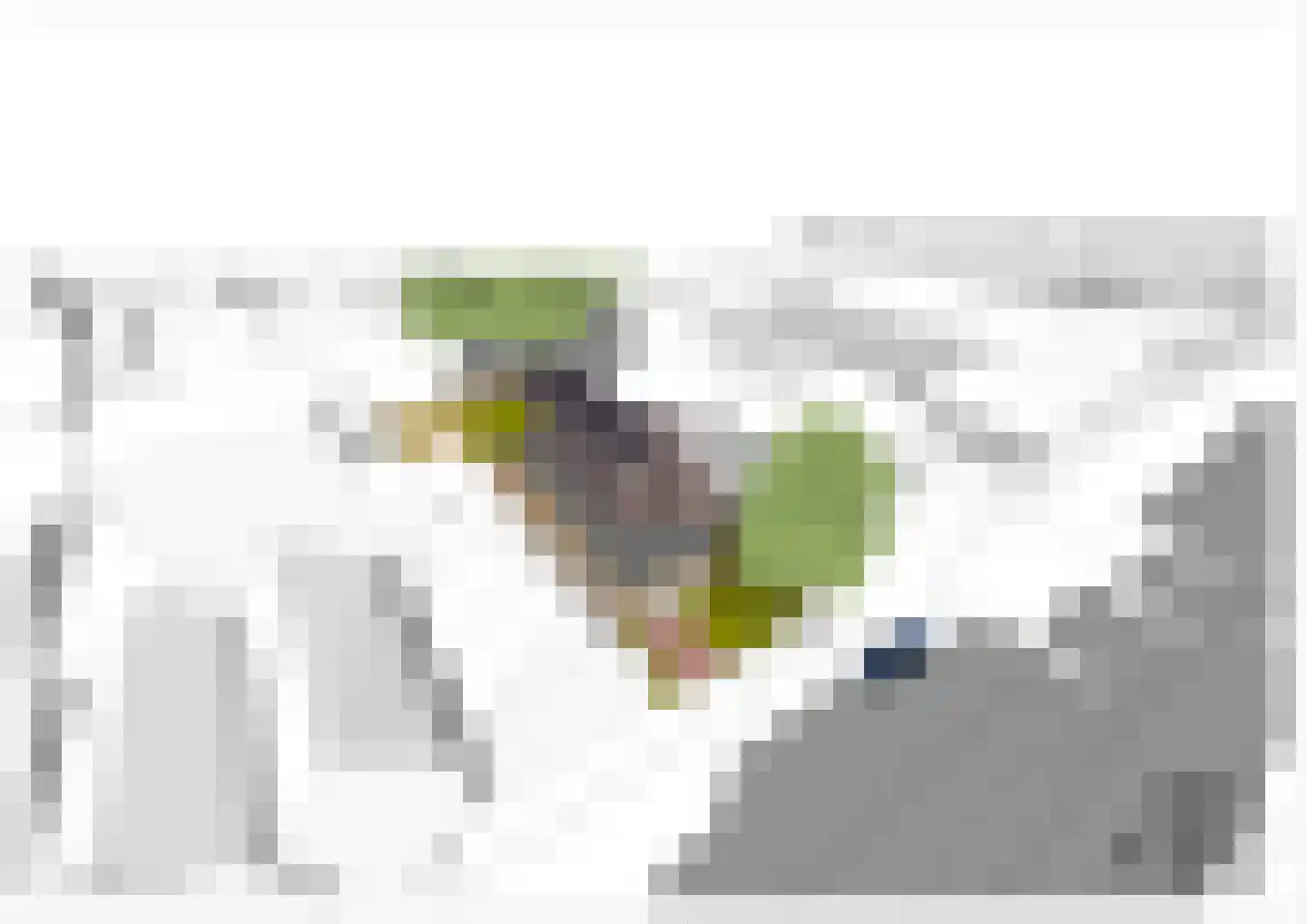 Catharinastraat Meppel thumbnail 6