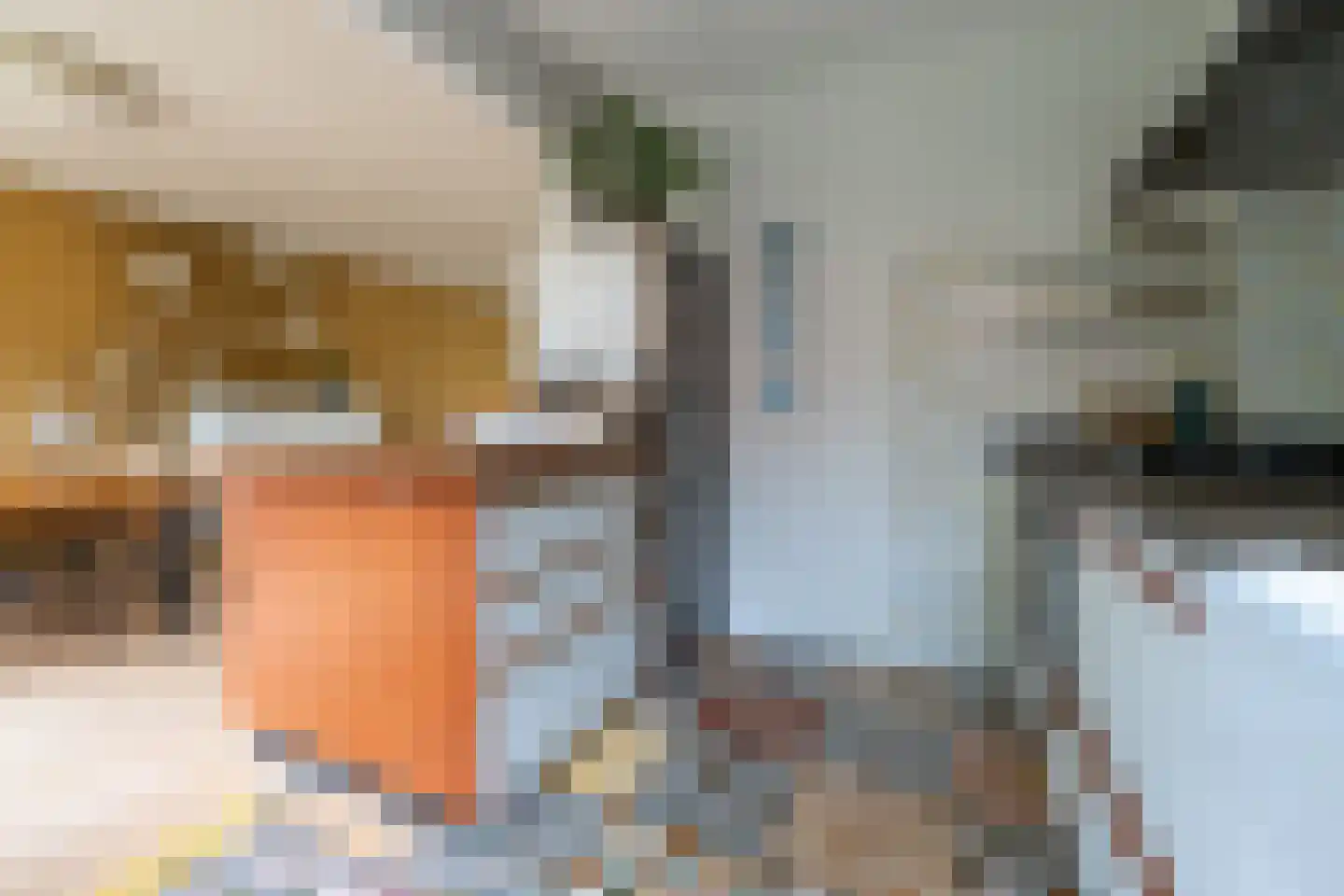 Catharinus Stomplaan 4 Zeist thumbnail 10
