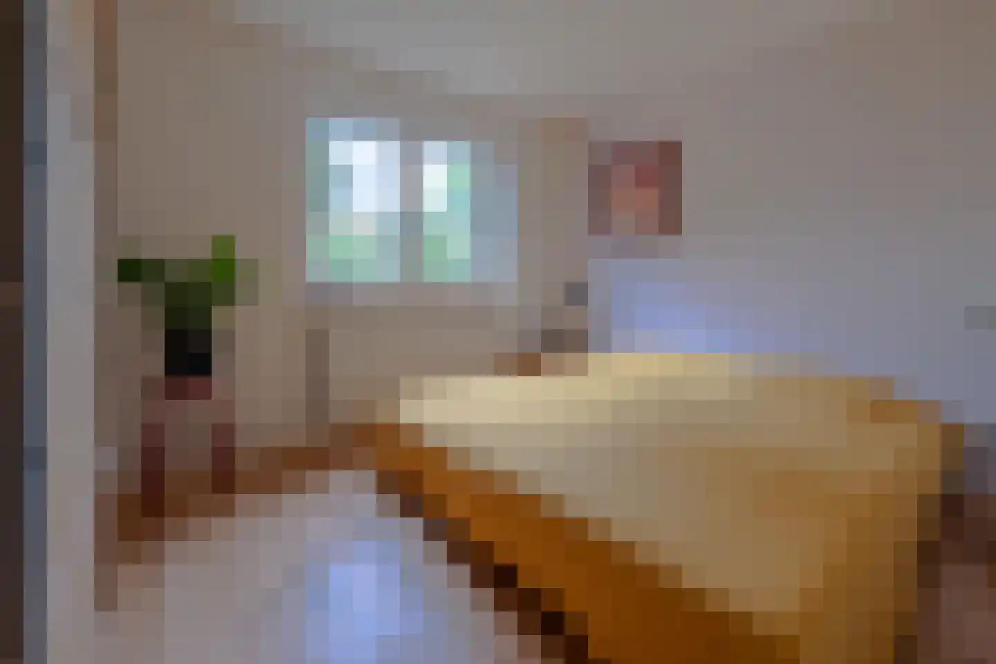 Catharinus Stomplaan 4 Zeist thumbnail 14