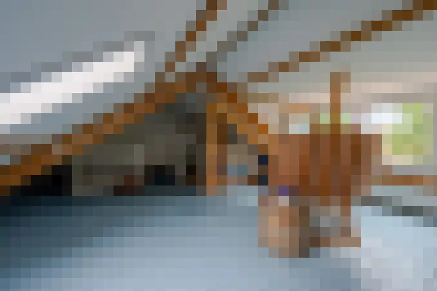 Catharinus Stomplaan 4 Zeist thumbnail 25