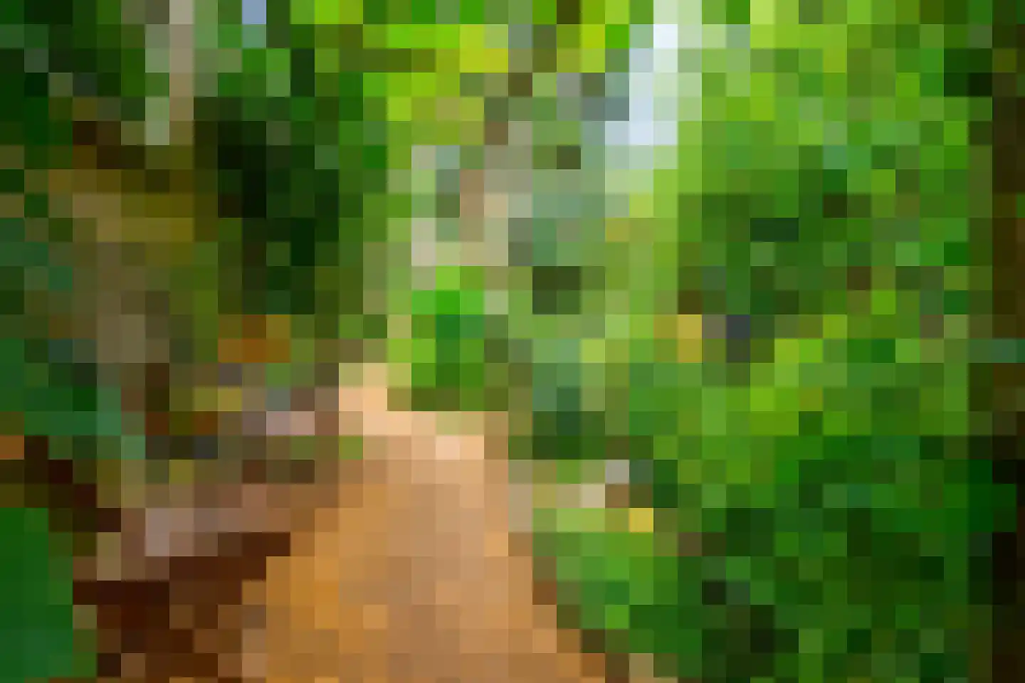 Catharinus Stomplaan 4 Zeist thumbnail 29