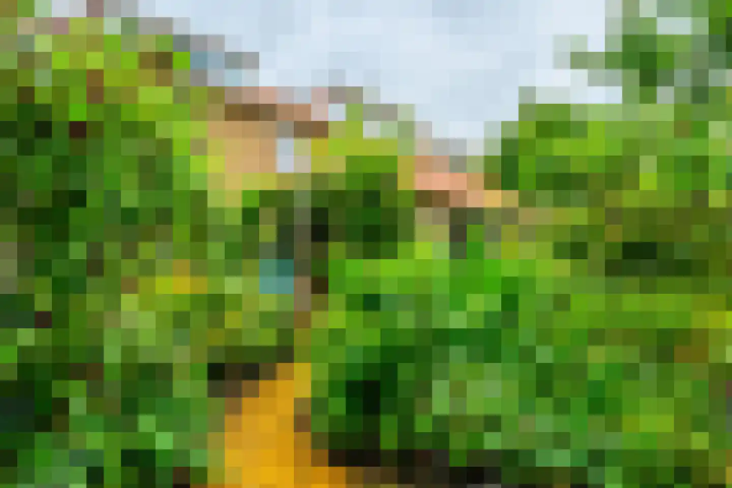 Catharinus Stomplaan 4 Zeist thumbnail 30