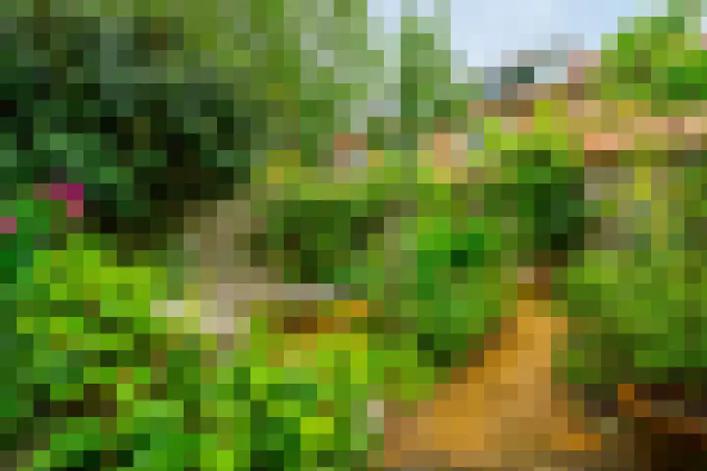Catharinus Stomplaan 4 Zeist thumbnail 31