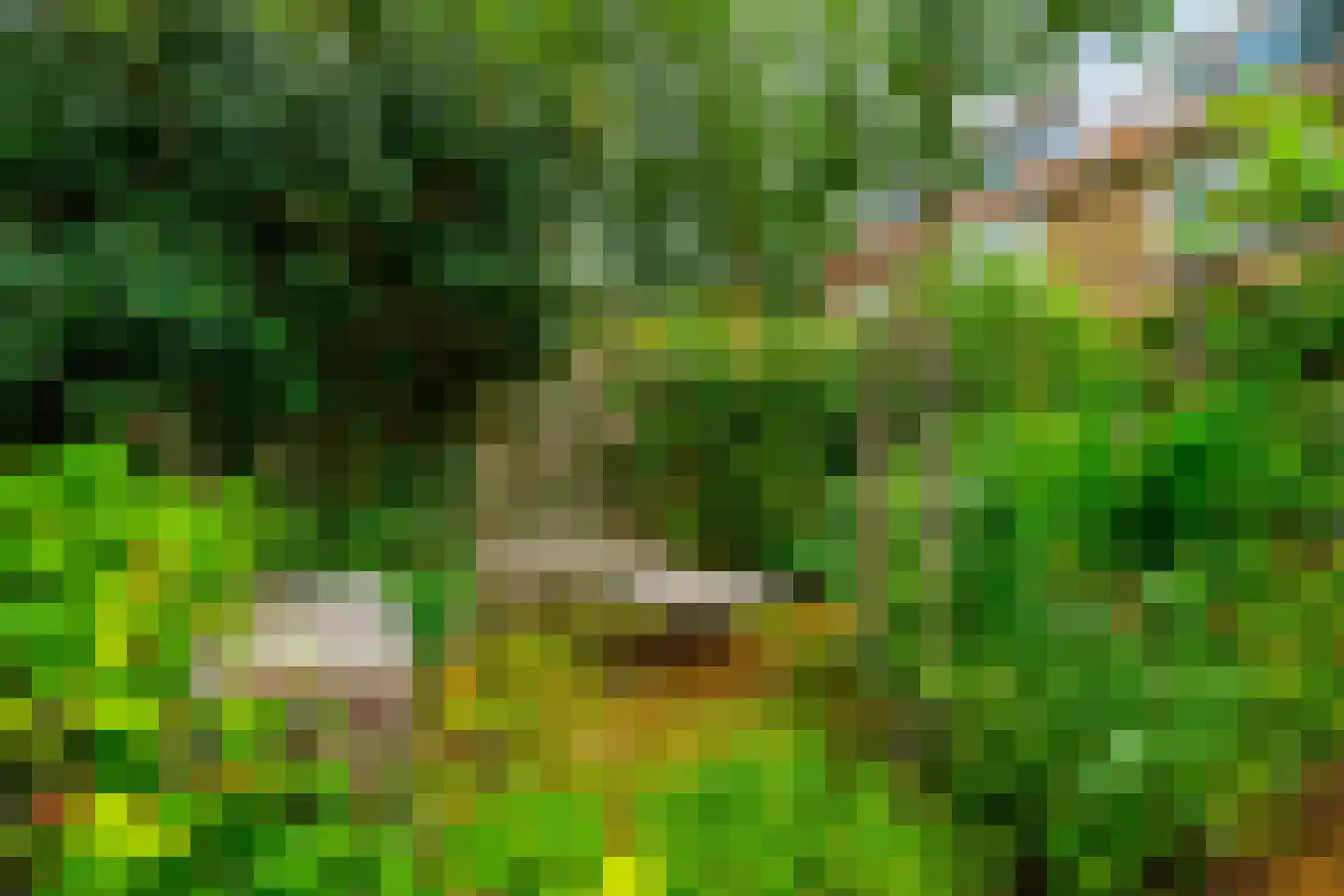 Catharinus Stomplaan 4 Zeist thumbnail 32