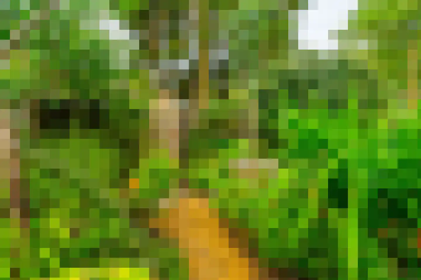 Catharinus Stomplaan 4 Zeist thumbnail 33