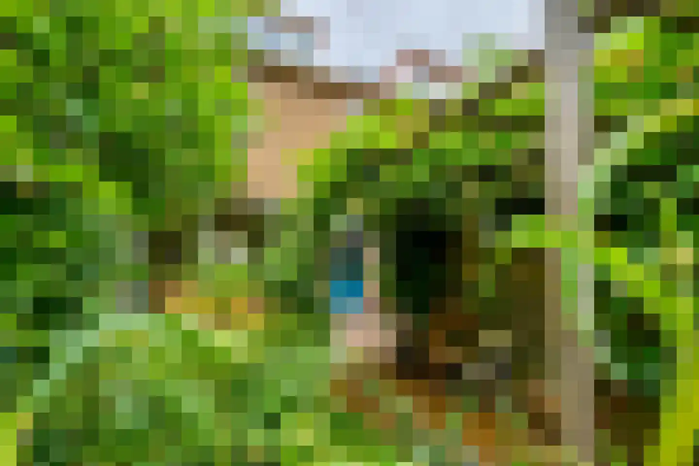 Catharinus Stomplaan 4 Zeist thumbnail 34