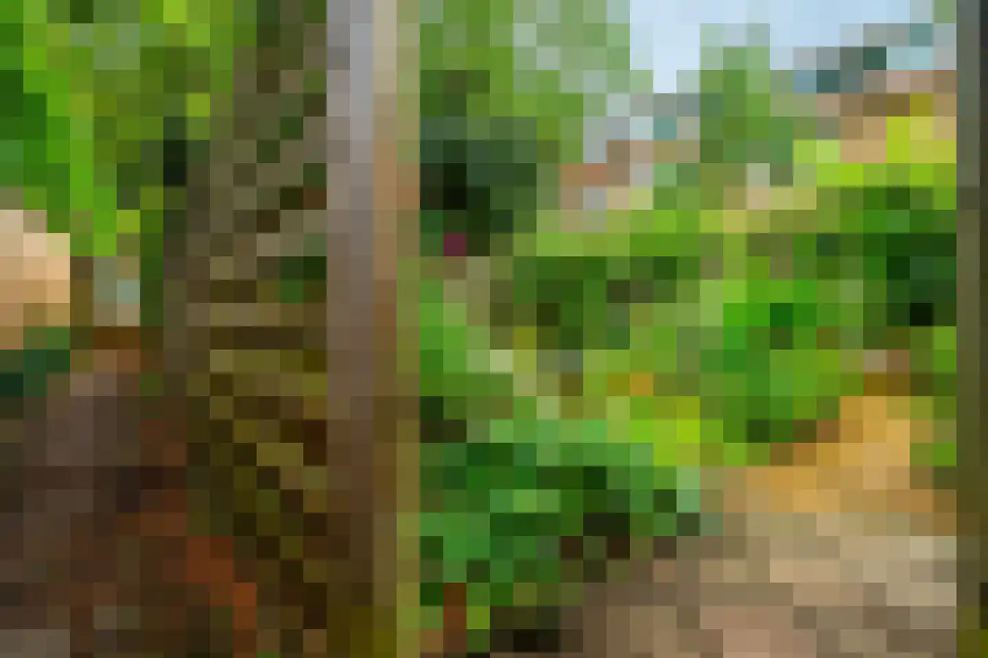 Catharinus Stomplaan 4 Zeist thumbnail 36