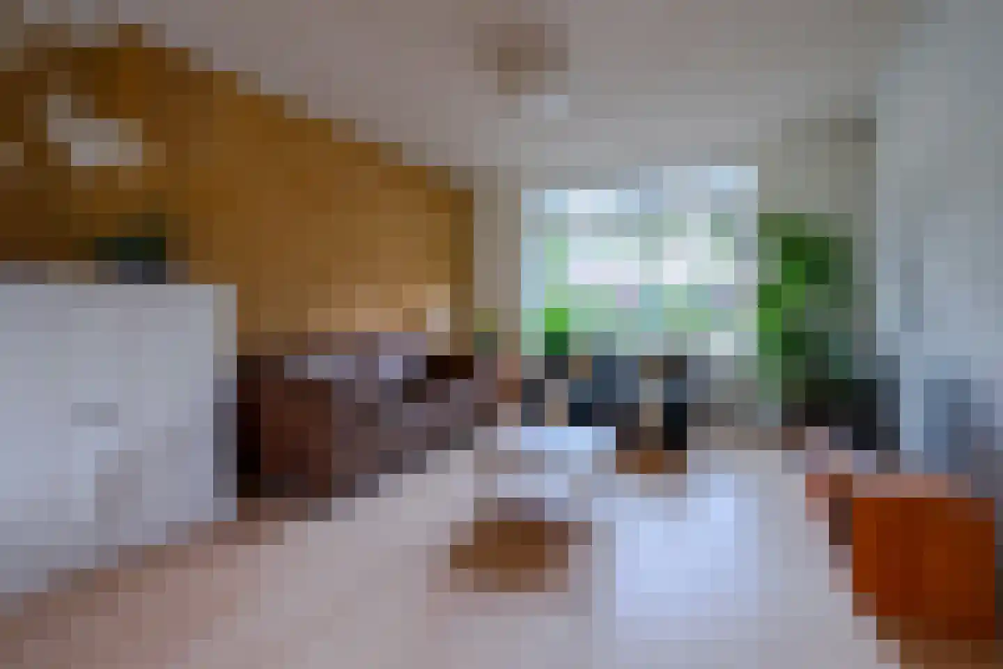 Catharinus Stomplaan 4 Zeist thumbnail 4