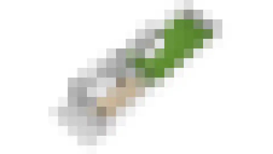 Catharinus Stomplaan 4 Zeist thumbnail 45