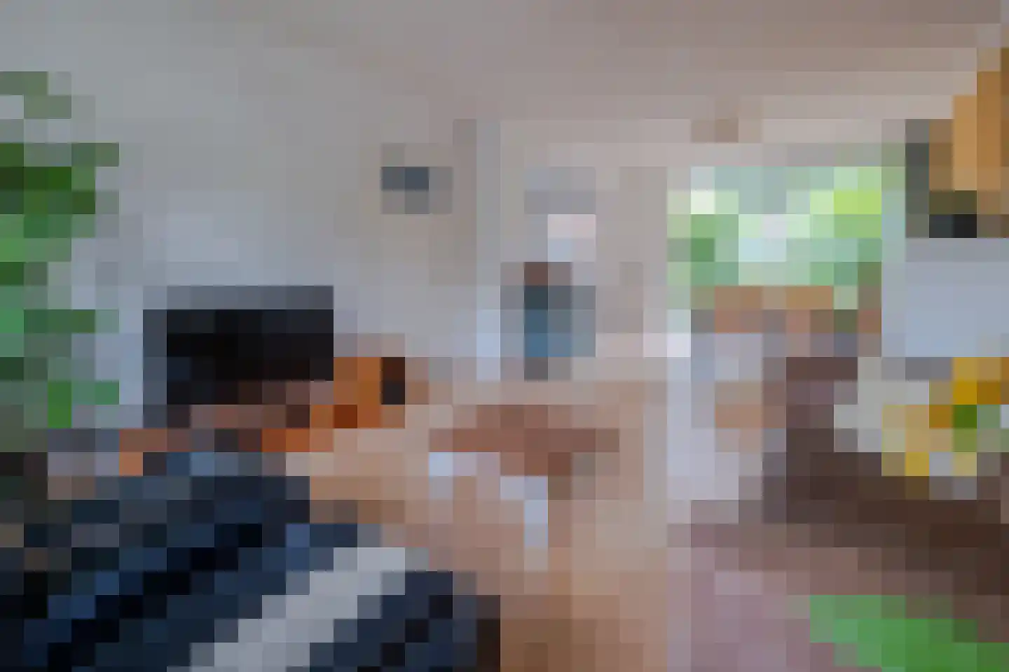 Catharinus Stomplaan 4 Zeist thumbnail 5