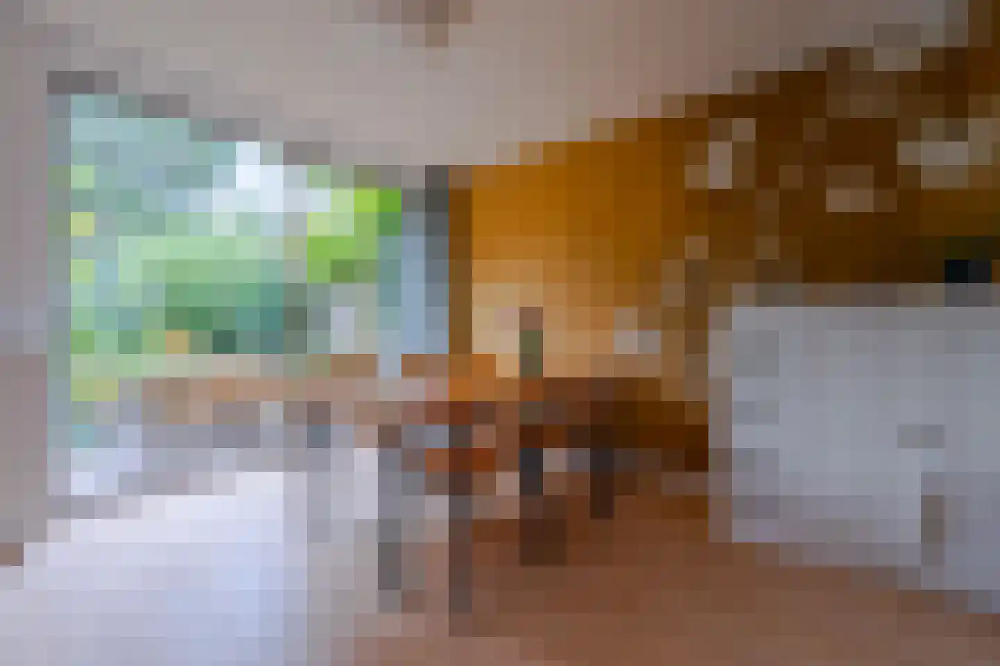 Catharinus Stomplaan 4 Zeist thumbnail 7