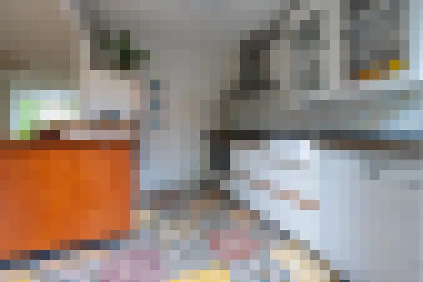 Catharinus Stomplaan 4 Zeist thumbnail 9