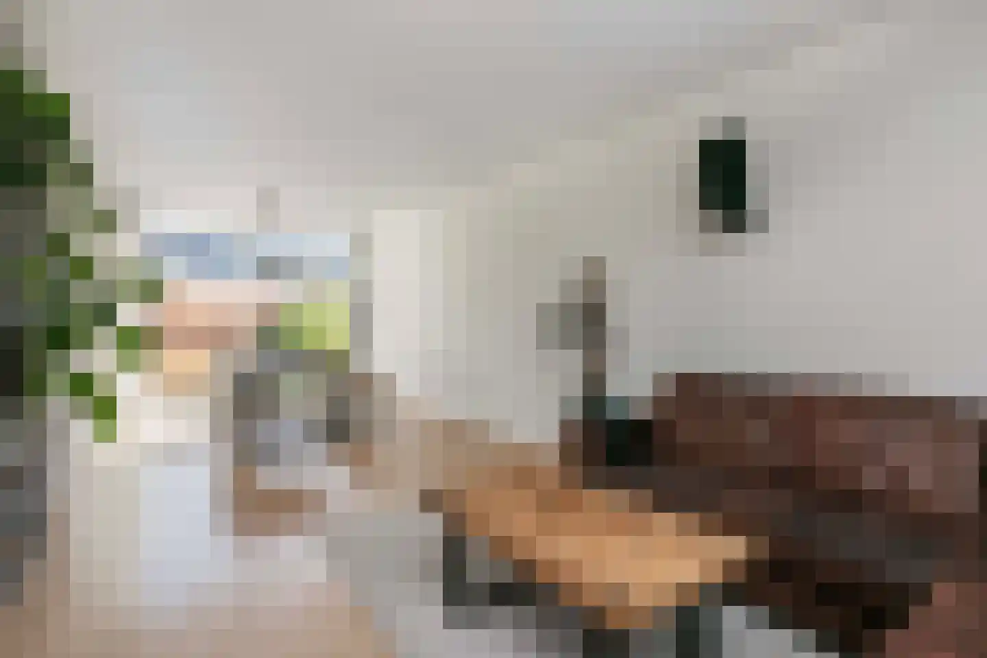 Catlastraat 9 Wijk bij Duurstede thumbnail 10