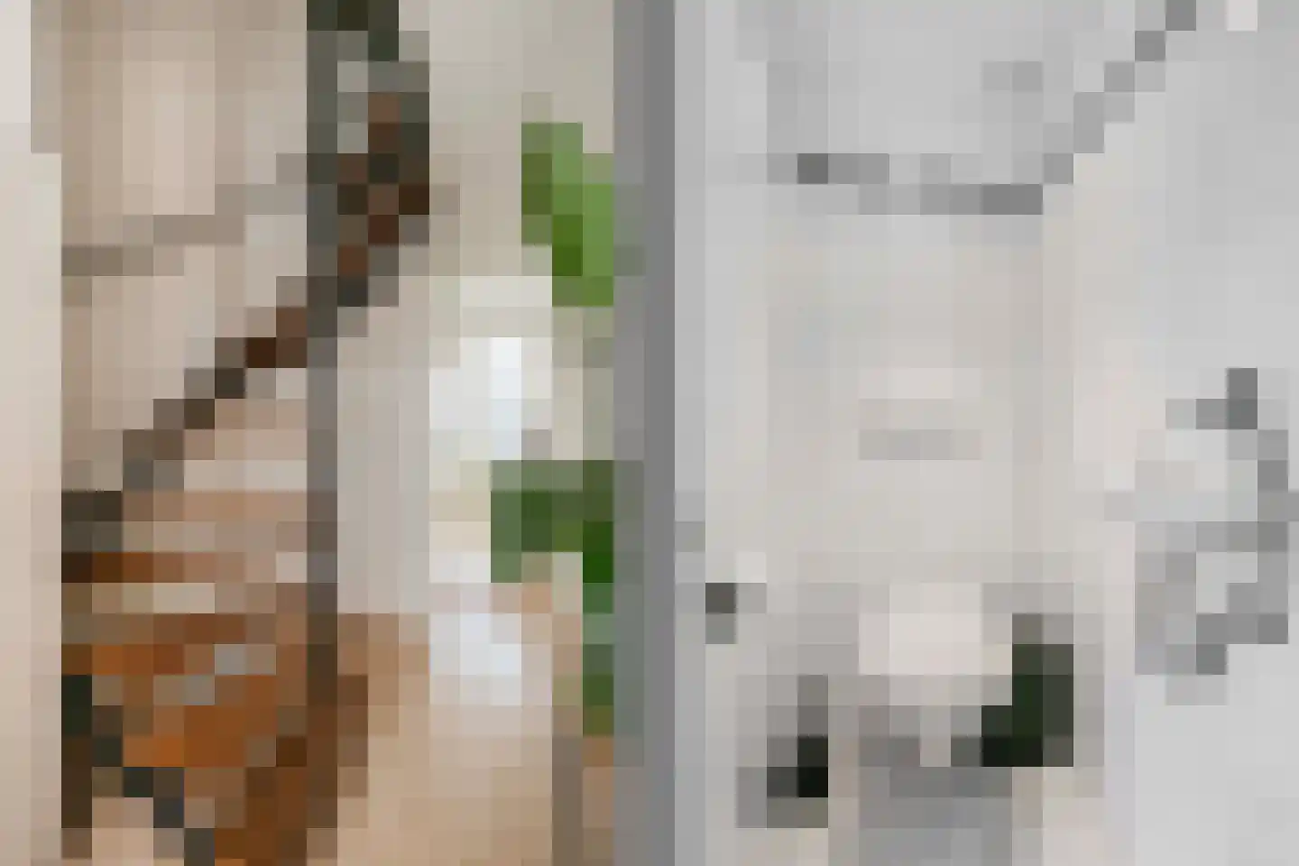 Catlastraat 9 Wijk bij Duurstede thumbnail 7