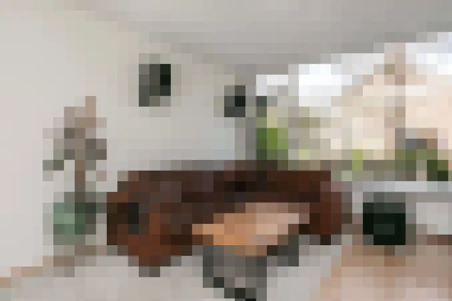 Catlastraat 9 Wijk bij Duurstede thumbnail 9