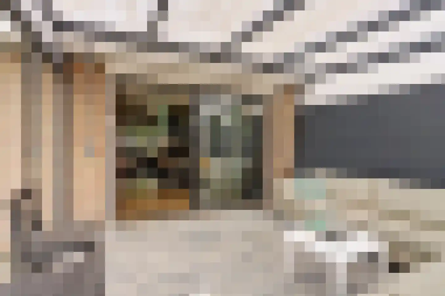 Cato Elderinklaan 29 Almelo thumbnail 15