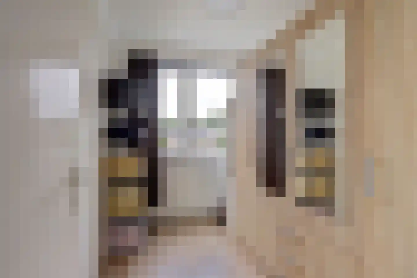 Cato Elderinklaan 29 Almelo thumbnail 24
