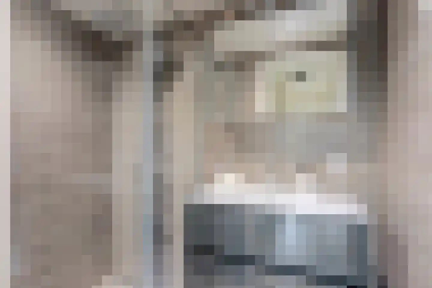 Cato Elderinklaan 29 Almelo thumbnail 31