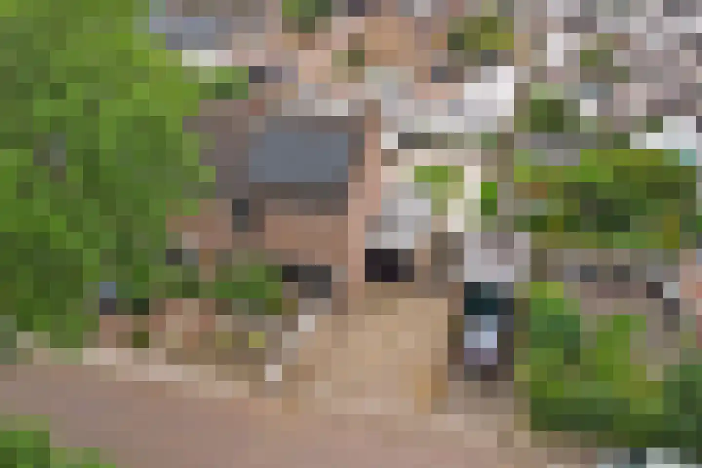 Cato Elderinklaan 29 Almelo thumbnail 39