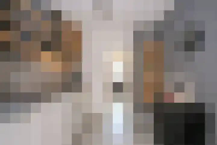 Cato Elderinklaan 32 Almelo thumbnail 15