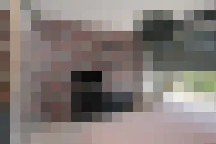 Cato Elderinklaan 32 Almelo thumbnail 17