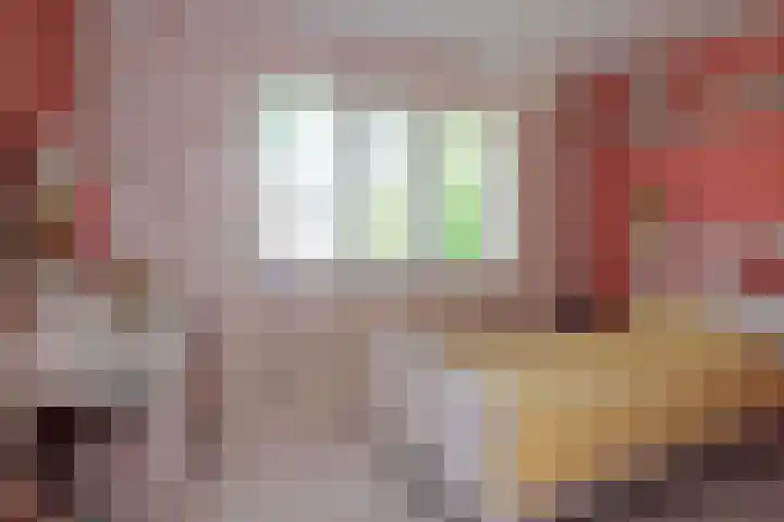 Cato Elderinklaan 32 Almelo thumbnail 19