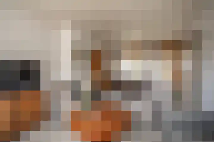 Cato Elderinklaan 41 Almelo thumbnail 11