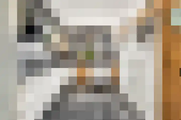 Cato Elderinklaan 41 Almelo thumbnail 12