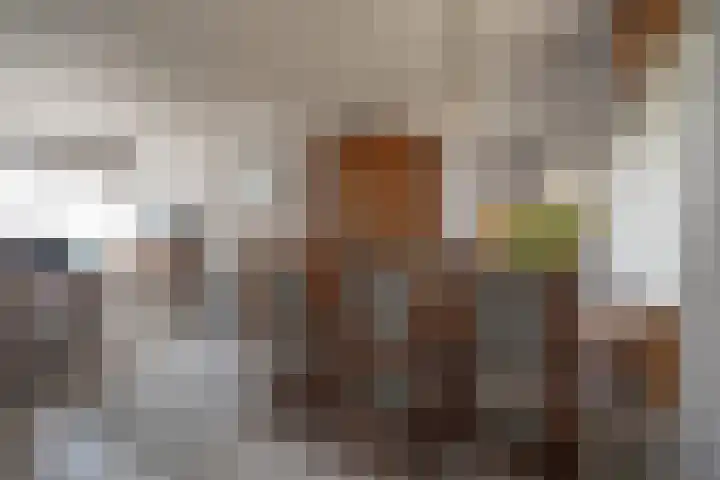 Cato Elderinklaan 41 Almelo thumbnail 12