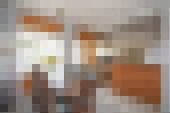 Cato Elderinklaan 41 Almelo thumbnail 13