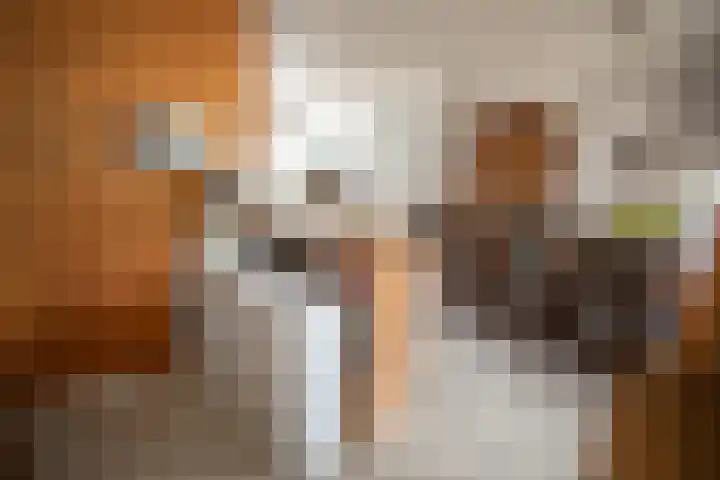 Cato Elderinklaan 41 Almelo thumbnail 15