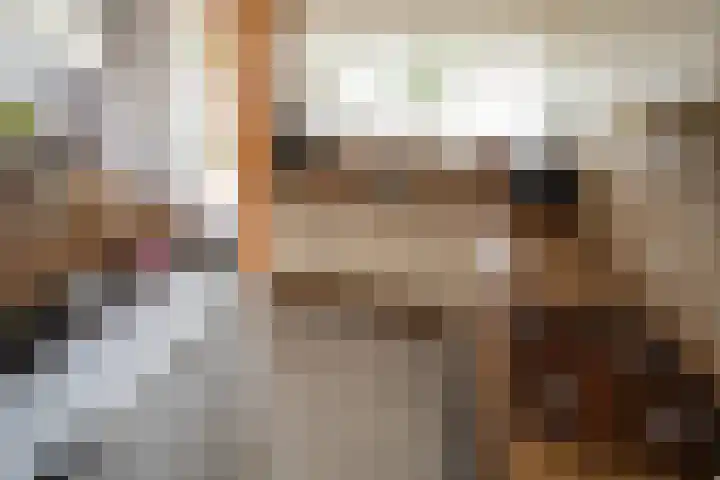Cato Elderinklaan 41 Almelo thumbnail 16