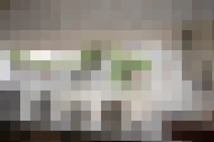 Cato Elderinklaan 41 Almelo thumbnail 17