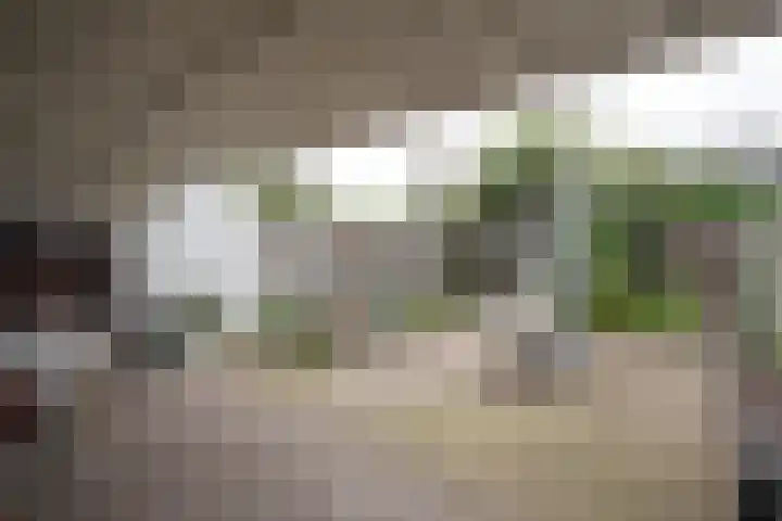 Cato Elderinklaan 41 Almelo thumbnail 19