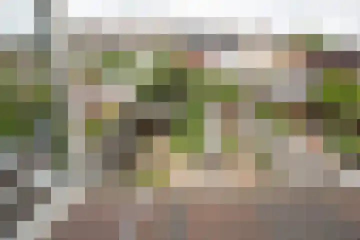 Cato Elderinklaan 41 Almelo thumbnail 40