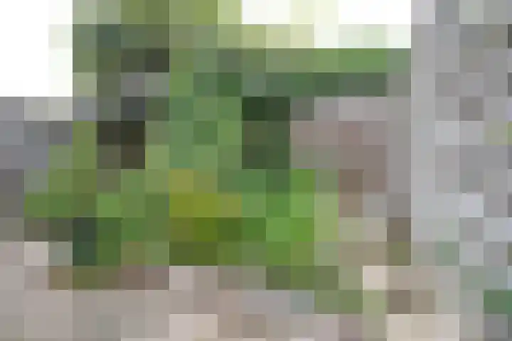 Cato Elderinklaan 41 Almelo thumbnail 41