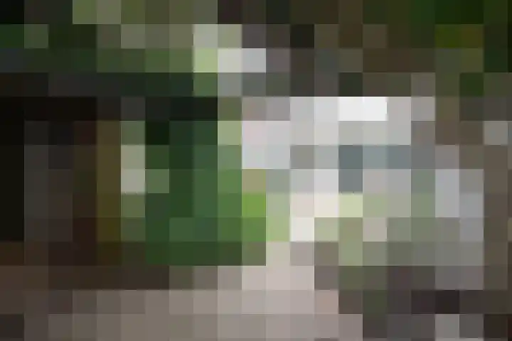 Cato Elderinklaan 41 Almelo thumbnail 42