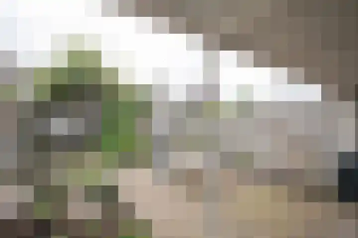 Cato Elderinklaan 41 Almelo thumbnail 43