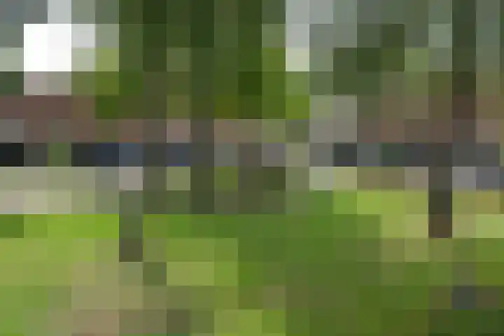 Cato Elderinklaan 41 Almelo thumbnail 6