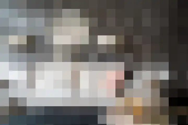 Cato Elderinkstraat 1 Losser thumbnail 13