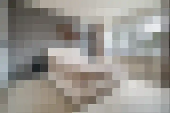 Cato Elderinkstraat 1 Losser thumbnail 21