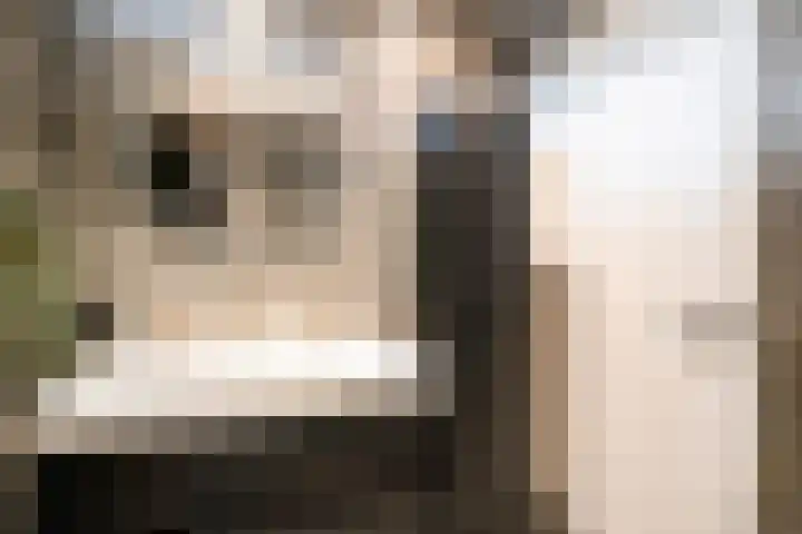Cato Elderinkstraat 1 Losser thumbnail 25
