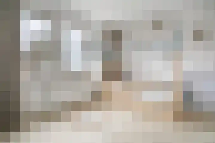 Cato Elderinkstraat 1 Losser thumbnail 27