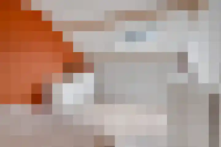 Cato Elderinkstraat 1 Losser thumbnail 33