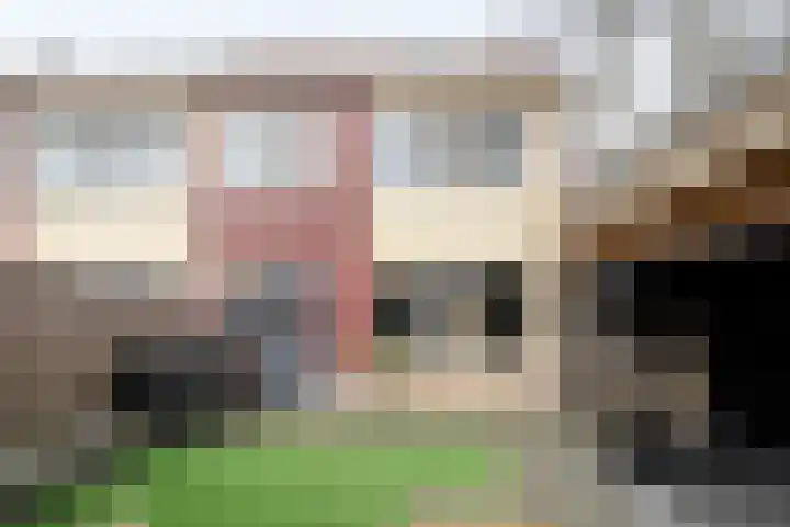 Cato Elderinkstraat 1 Losser thumbnail 34