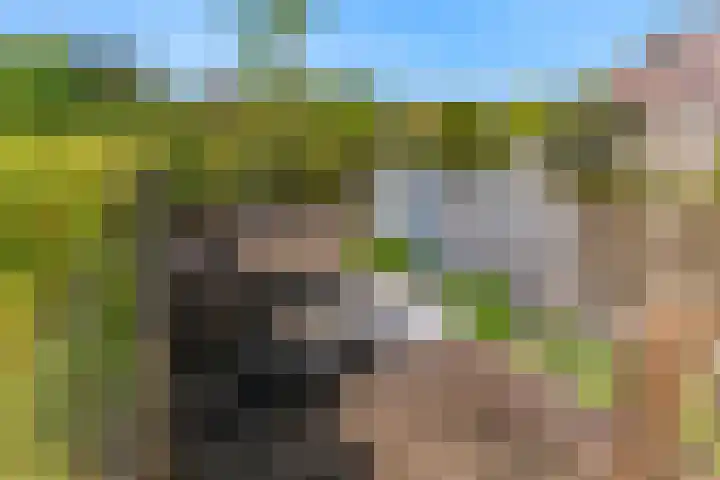 Cato van der Pijlland 21 Heerhugowaard thumbnail 17