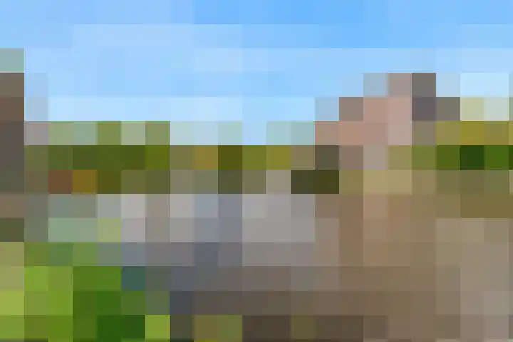 Cato van der Pijlland 21 Heerhugowaard thumbnail 19